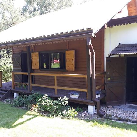 Lesna Polana Villa Górzno Exteriör bild