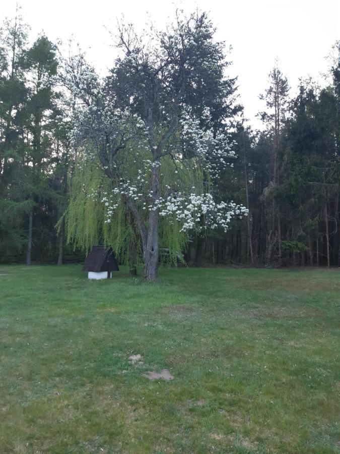 Lesna Polana Villa Górzno Exteriör bild