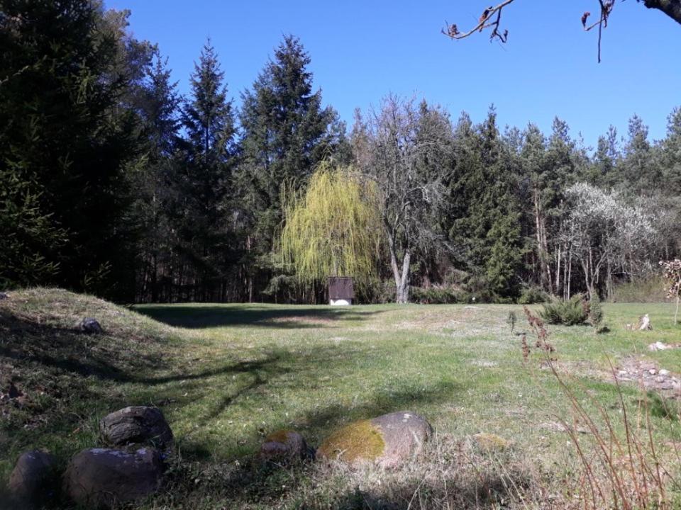 Lesna Polana Villa Górzno Exteriör bild