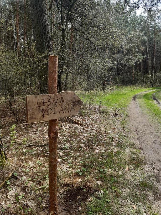 Lesna Polana Villa Górzno Exteriör bild